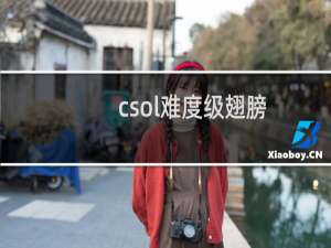 csol难度级翅膀