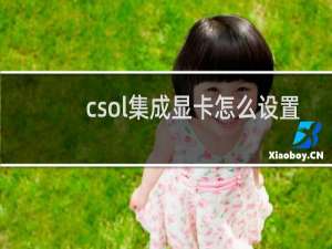 csol集成显卡怎么设置