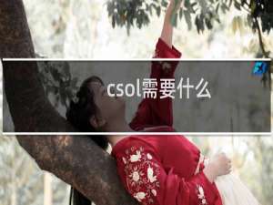 csol需要什么