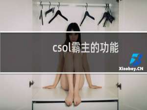 csol霸主的功能