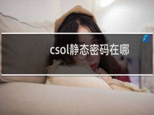 csol静态密码在哪