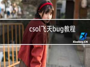 csol飞天bug教程