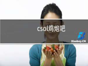 csol鸡炮吧