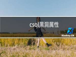 csol黑洞属性