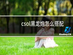 csol黑龙炮怎么搭配