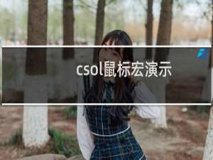 csol鼠标宏演示