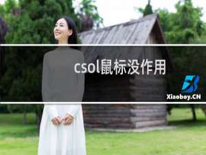 csol鼠标没作用