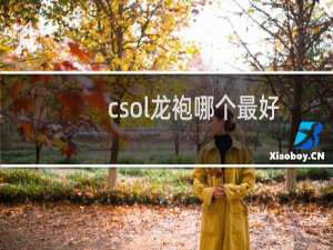 csol龙袍哪个最好