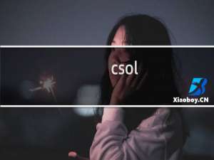 csol 团队竞技神器