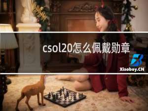 csol 怎么佩戴勋章