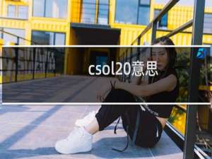 csol 意思