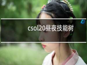 csol 昼夜技能树