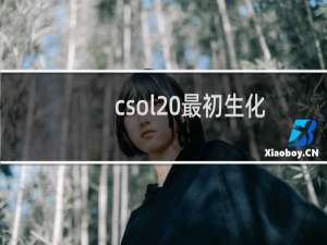 csol 最初生化