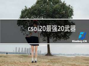 csol 最强 武器
