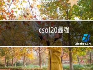 csol 最强