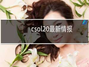 csol 最新情报