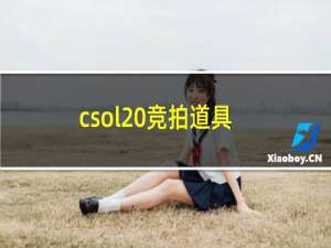 csol 竞拍道具