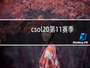csol 第11赛季