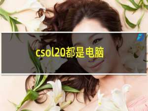 csol 都是电脑