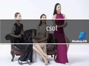 csol  有插件么