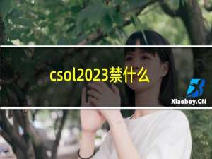 csol 23禁什么