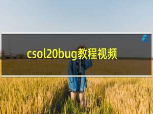 csol bug教程视频