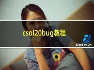 csol bug教程