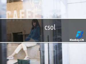 csol uu 网吧