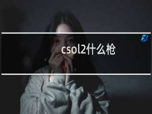 csol2什么枪