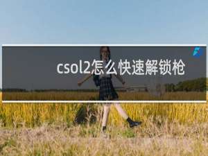 csol2怎么快速解锁枪