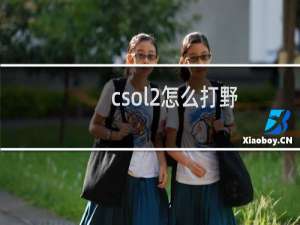 csol2怎么打野