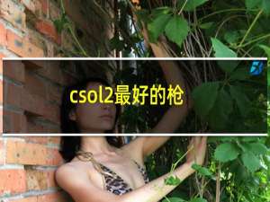 csol2最好的枪