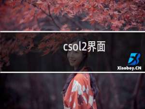 csol2界面