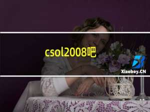 csol2008吧