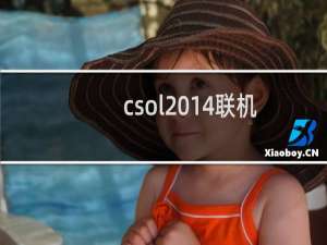 csol2014联机