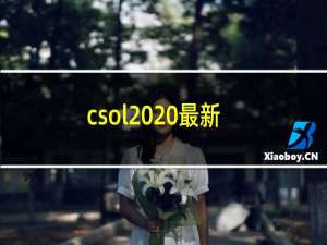 csol2020最新