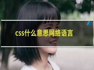 css什么意思网络语言