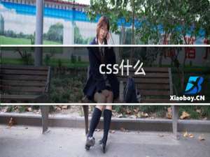 css什么
