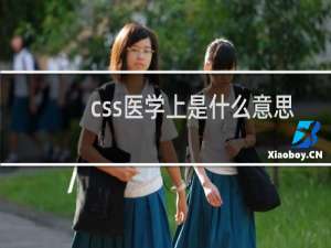 css医学上是什么意思