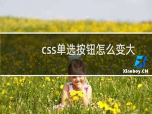 css单选按钮怎么变大