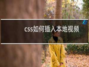 css如何插入本地视频