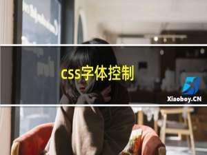 css字体控制