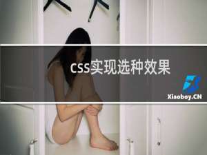 css实现选种效果