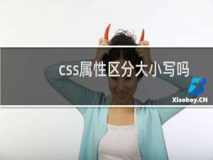 css属性区分大小写吗