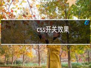 css开关效果