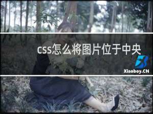 css怎么将图片位于中央