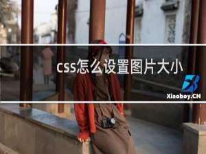 css怎么设置图片大小