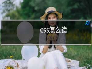 css怎么读