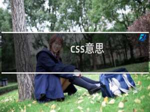 css意思