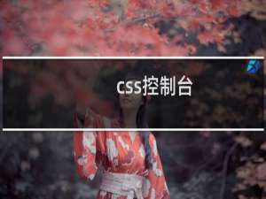 css控制台
